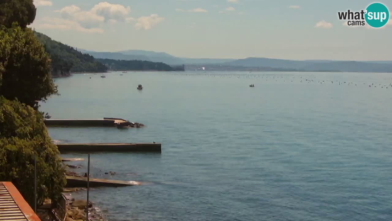Webcam du restaurant BellaRiva | Côte de Trieste – vue sur le château de Miramare