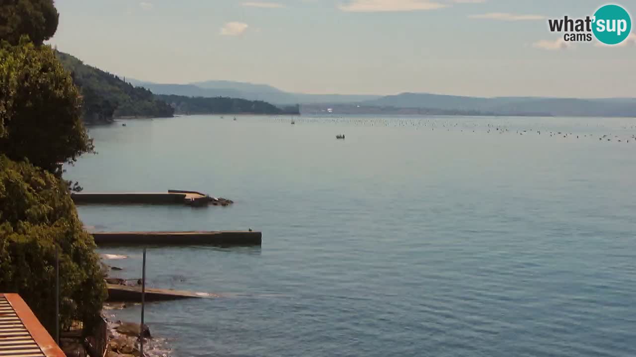 Webcam BellaRiva restaurant | Trieste coast – view to Miramare castle