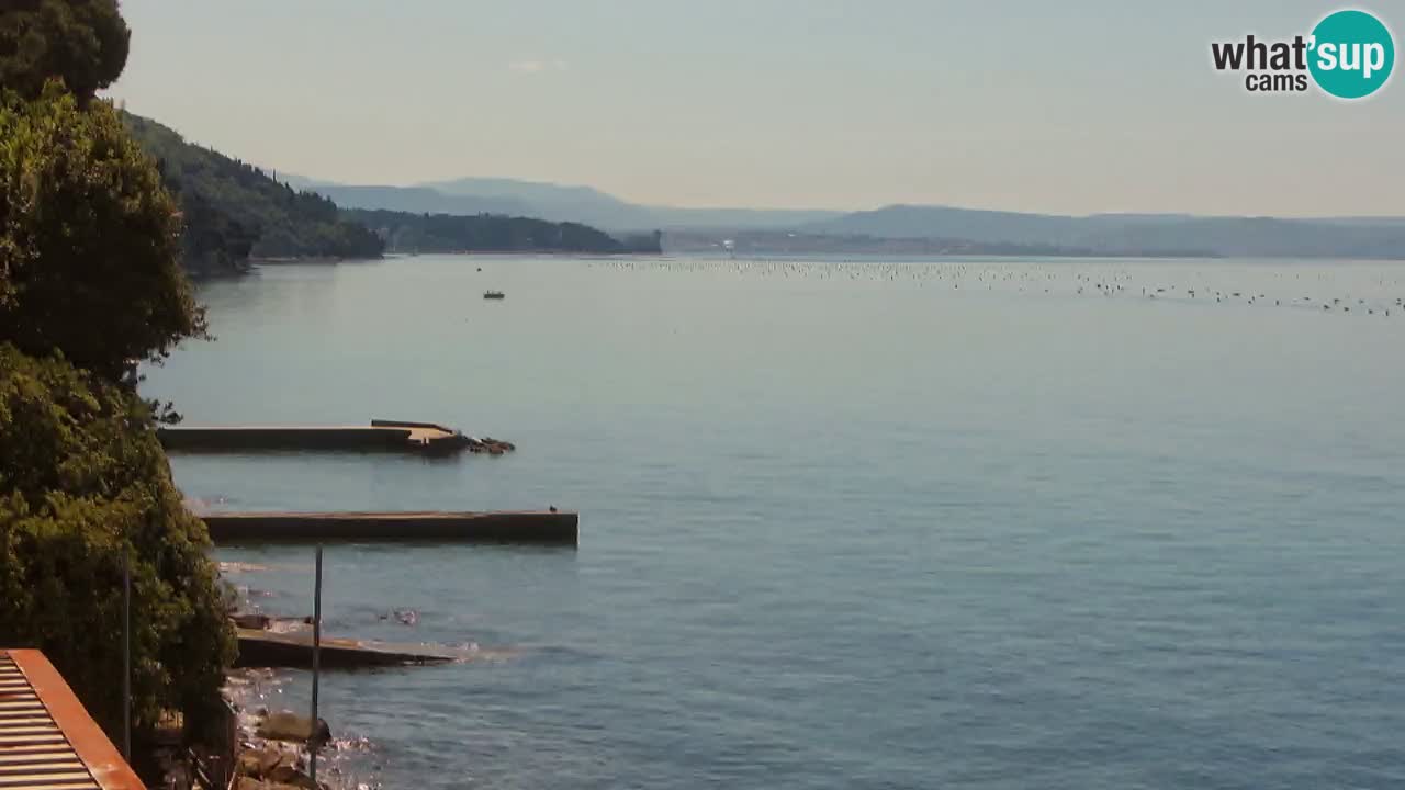 Webcam du restaurant BellaRiva | Côte de Trieste – vue sur le château de Miramare