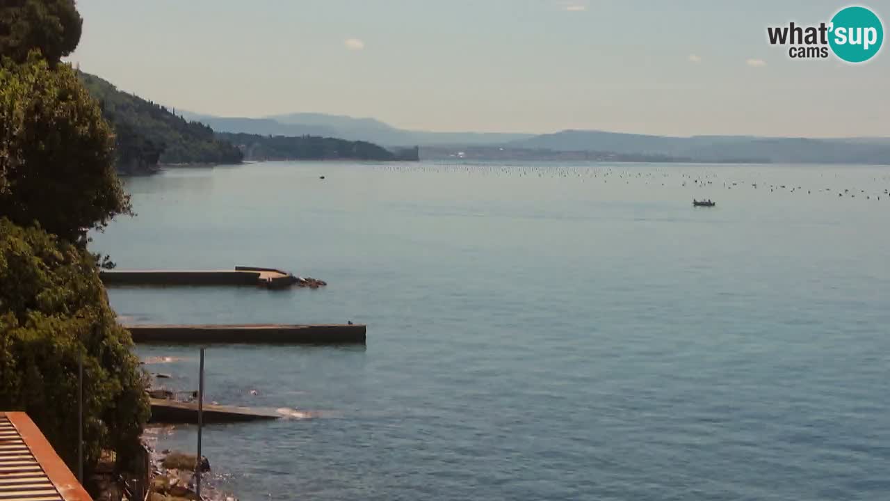 Trattoria BellaRiva webcam | Trieste costiera e castello di Miramare