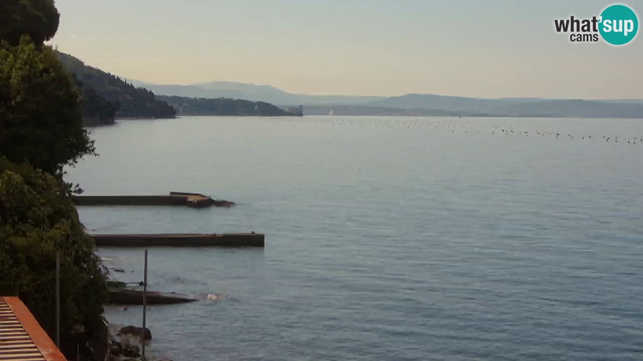 Trattoria BellaRiva webcam | Trieste costiera e castello di Miramare