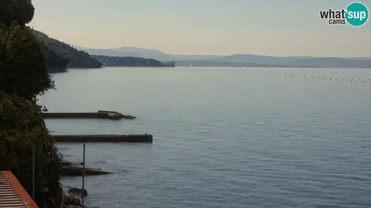 Webcam del restaurante BellaRiva | Costa de Trieste – vista hacia el castillo de Miramare