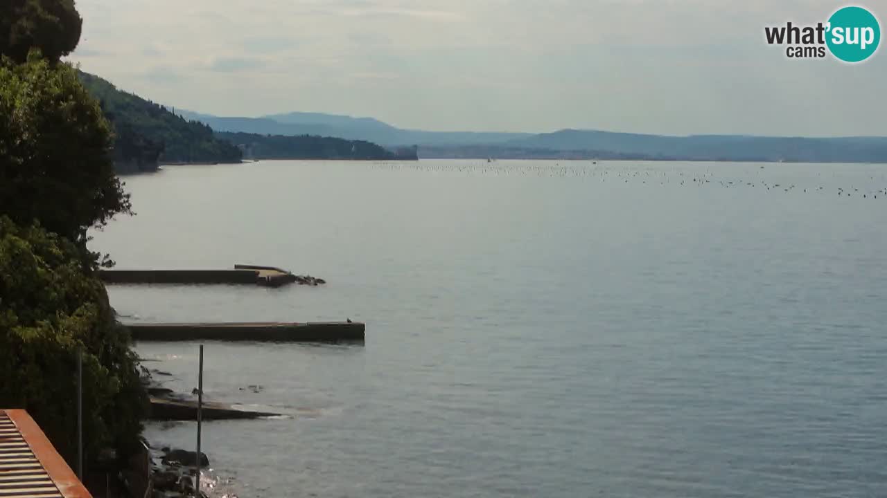 Web kamera restorana BellaRiva | Obala Trsta – pogled na dvorac Miramare