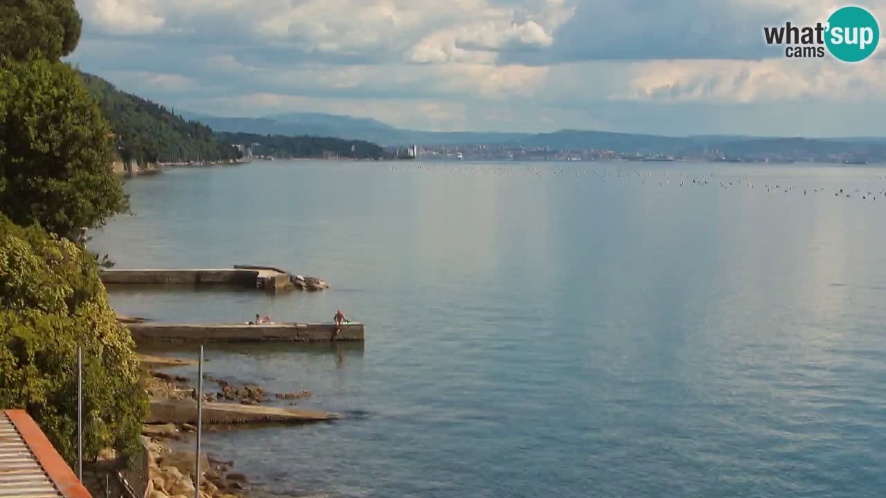 Webcam BellaRiva restaurant | Trieste coast – view to Miramare castle
