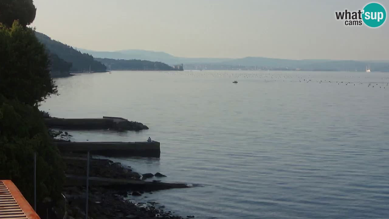 Webcam del restaurante BellaRiva | Costa de Trieste – vista hacia el castillo de Miramare