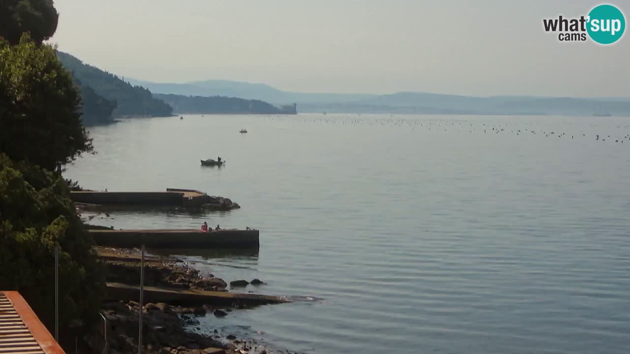 Web kamera restorana BellaRiva | Obala Trsta – pogled na dvorac Miramare