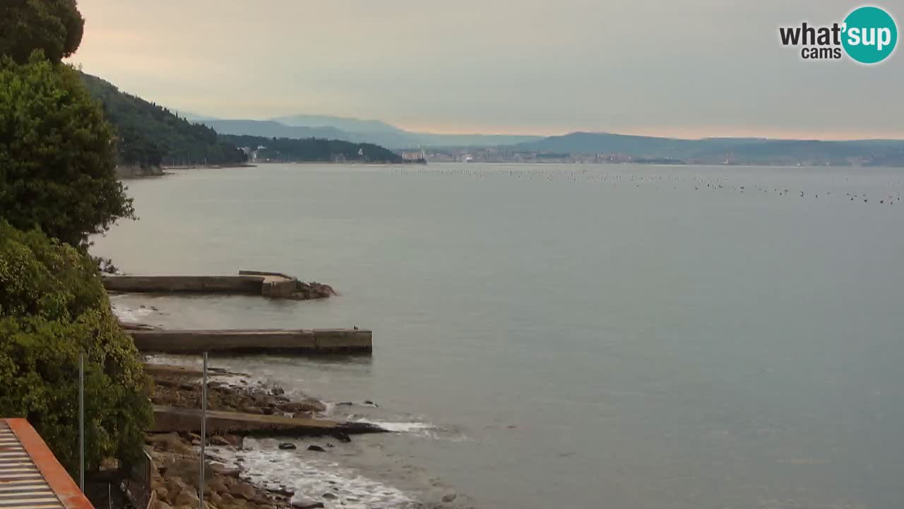 Trattoria BellaRiva webcam | Trieste costiera e castello di Miramare