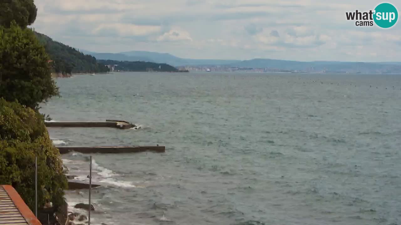 Webcam BellaRiva restaurant | Trieste coast – view to Miramare castle