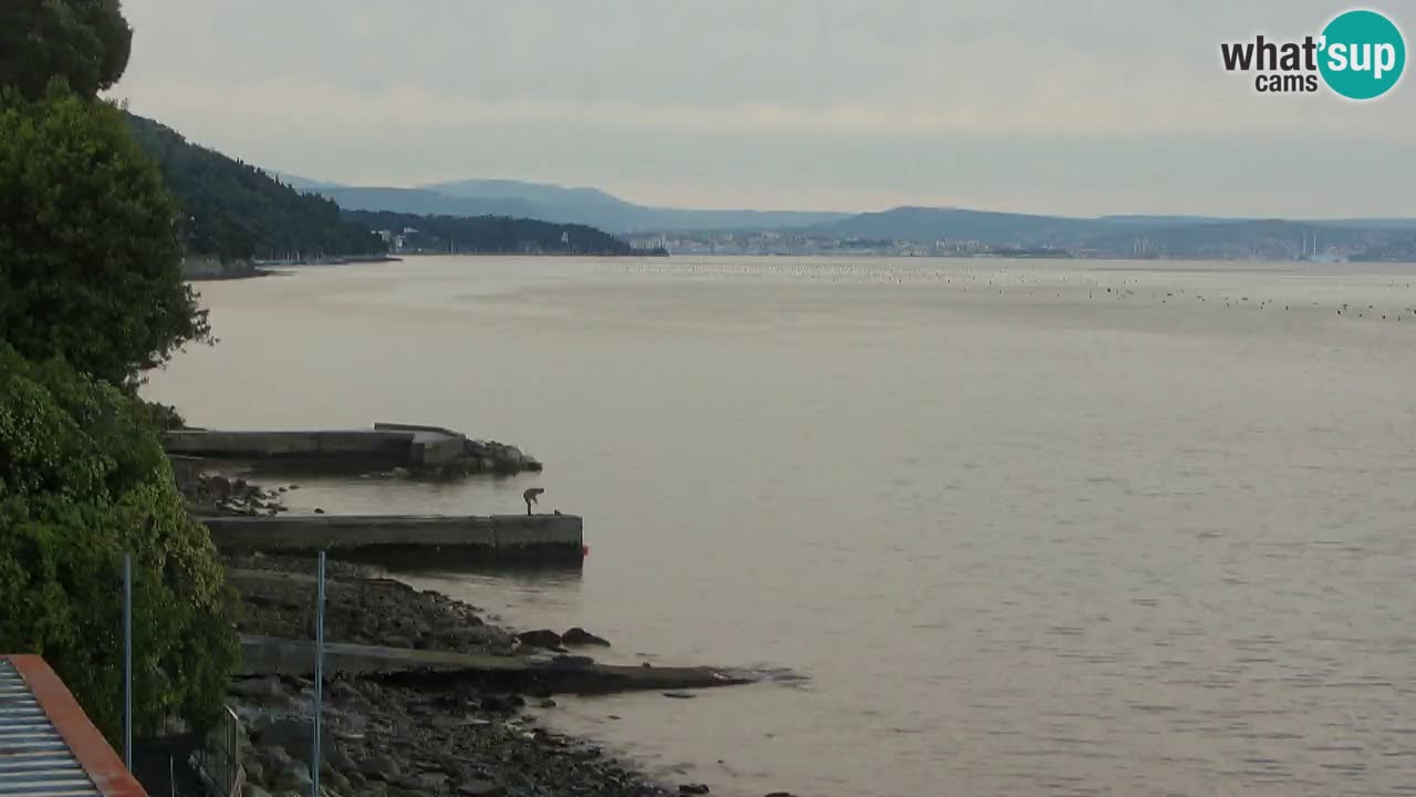 Trattoria BellaRiva webcam | Trieste costiera e castello di Miramare