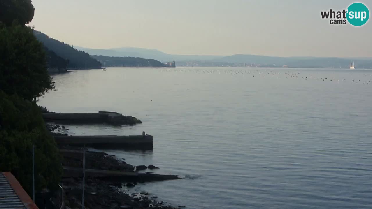 Trattoria BellaRiva webcam | Trieste costiera e castello di Miramare