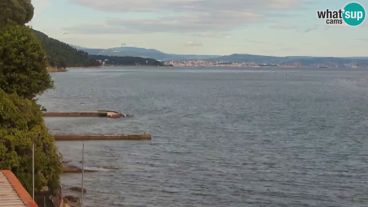 Webcam BellaRiva restaurant | Trieste coast – view to Miramare castle