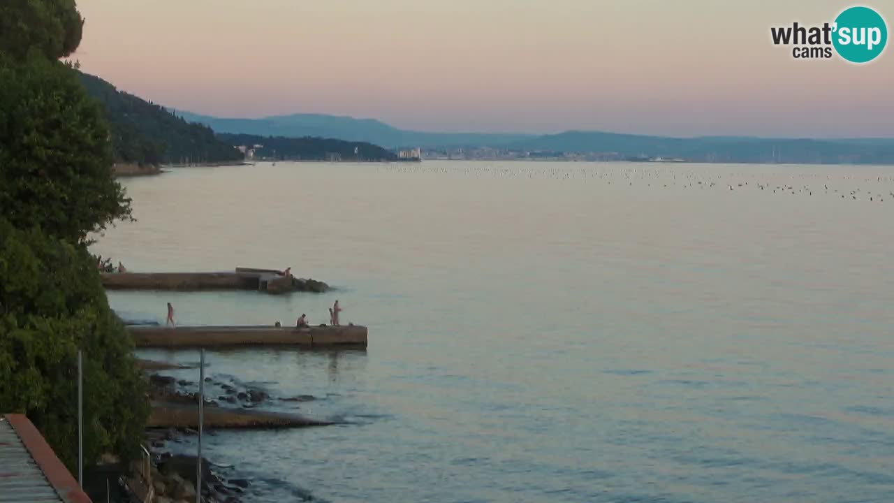 Webcam BellaRiva restaurant | Trieste coast – view to Miramare castle
