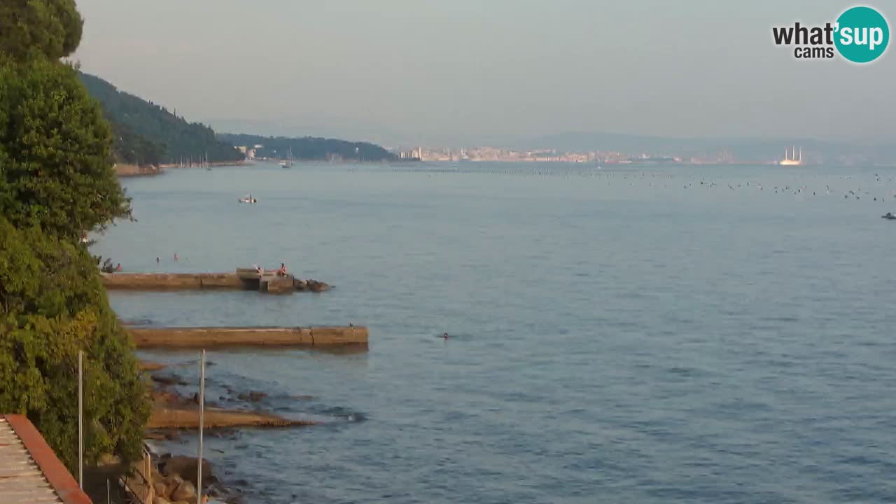 Webcam BellaRiva restaurant | Trieste coast – view to Miramare castle