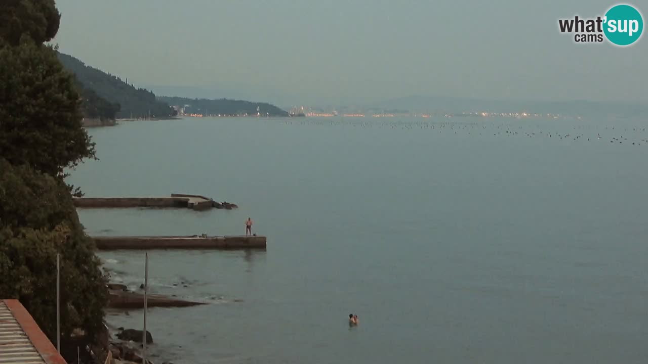 Webcam BellaRiva restaurant | Trieste coast – view to Miramare castle