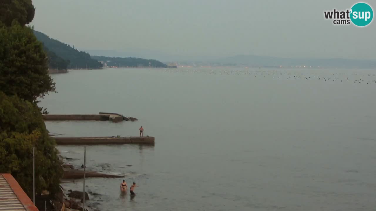 Webcam BellaRiva restaurant | Trieste coast – view to Miramare castle