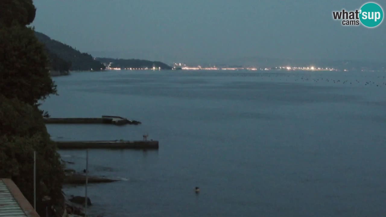Webcam BellaRiva restaurant | Trieste coast – view to Miramare castle