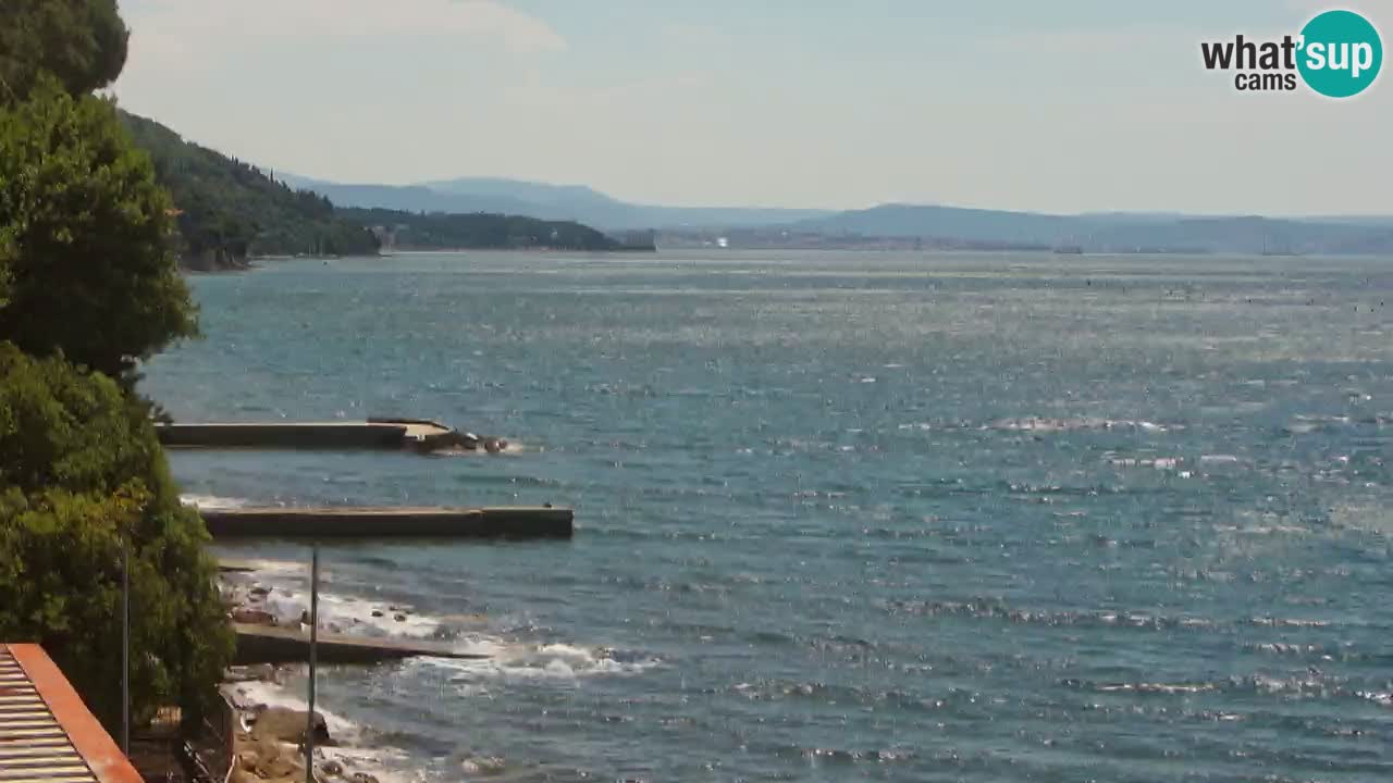 Webcam BellaRiva restaurant | Trieste coast – view to Miramare castle