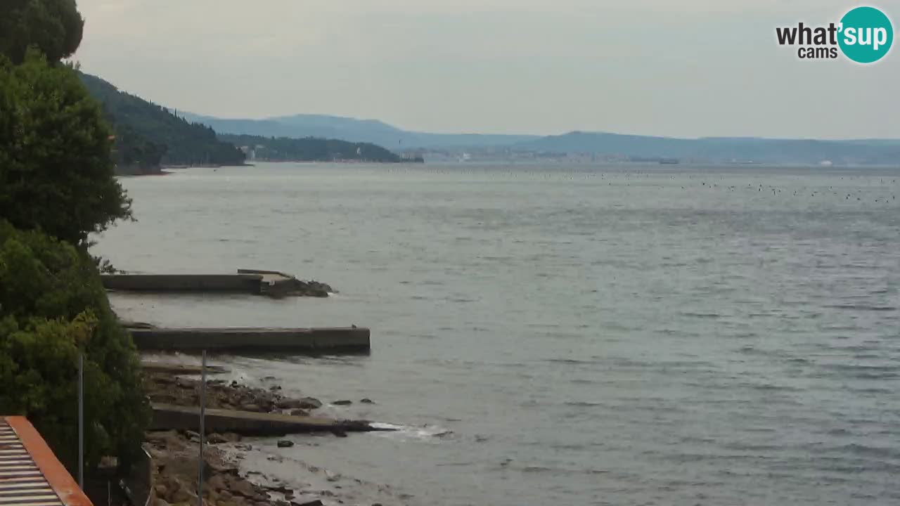 Webcam del restaurante BellaRiva | Costa de Trieste – vista hacia el castillo de Miramare
