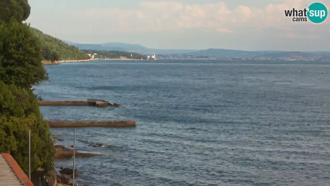 Web kamera restorana BellaRiva | Obala Trsta – pogled na dvorac Miramare