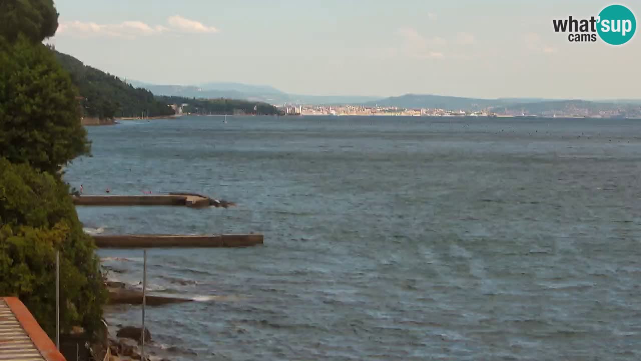 Webcam BellaRiva restaurant | Trieste coast – view to Miramare castle