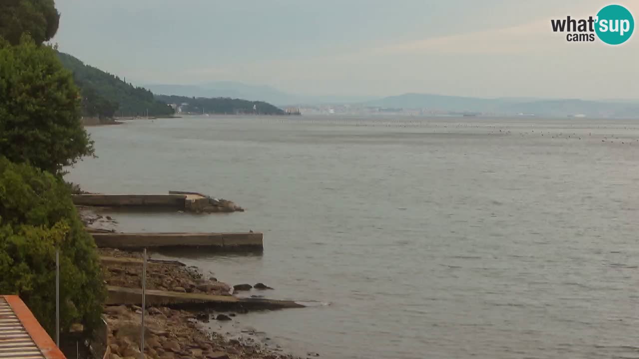 Webcam del restaurante BellaRiva | Costa de Trieste – vista hacia el castillo de Miramare