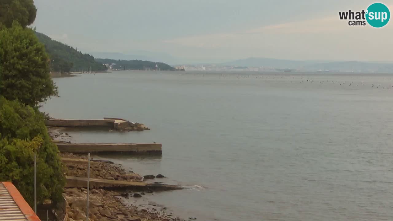 Web kamera restorana BellaRiva | Obala Trsta – pogled na dvorac Miramare