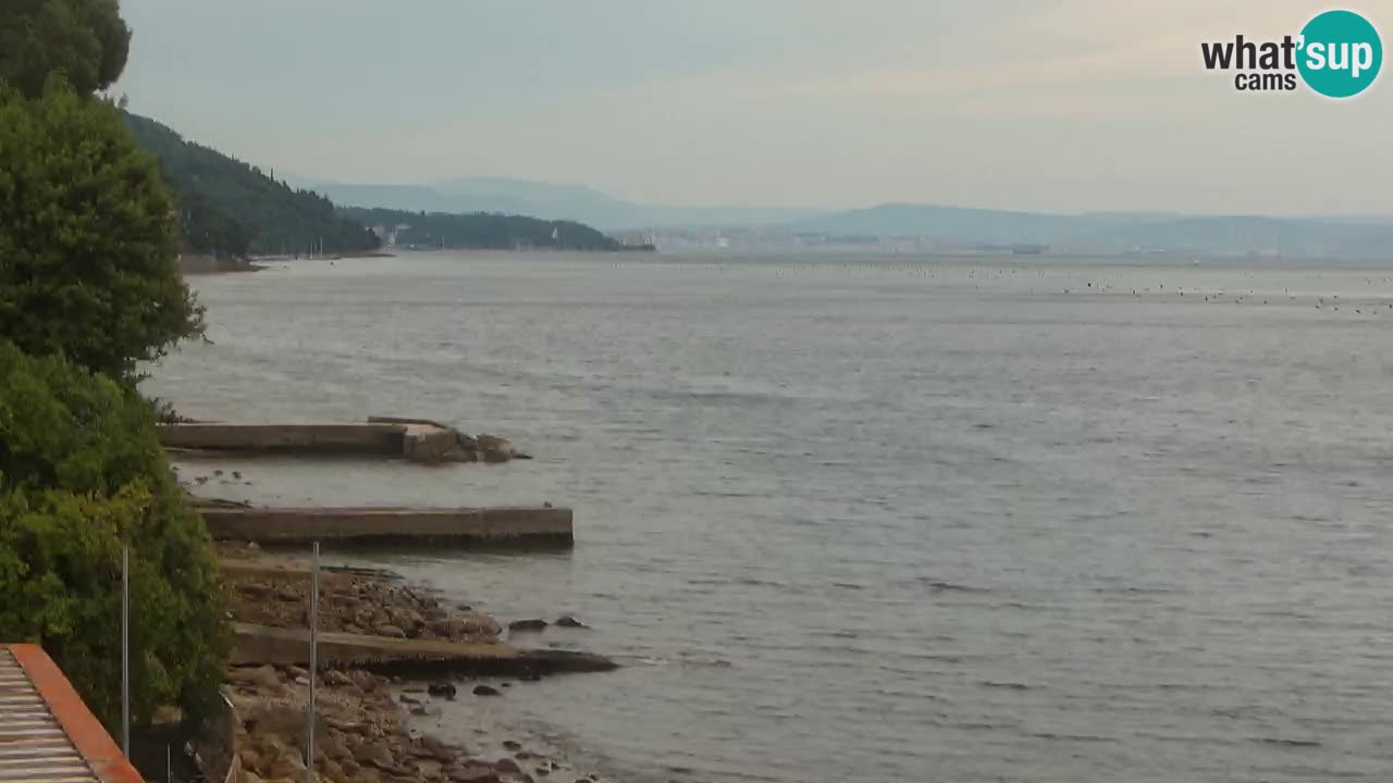 Webcam Restaurant BellaRiva | Küste von Triest – Blick auf das Schloss Miramare