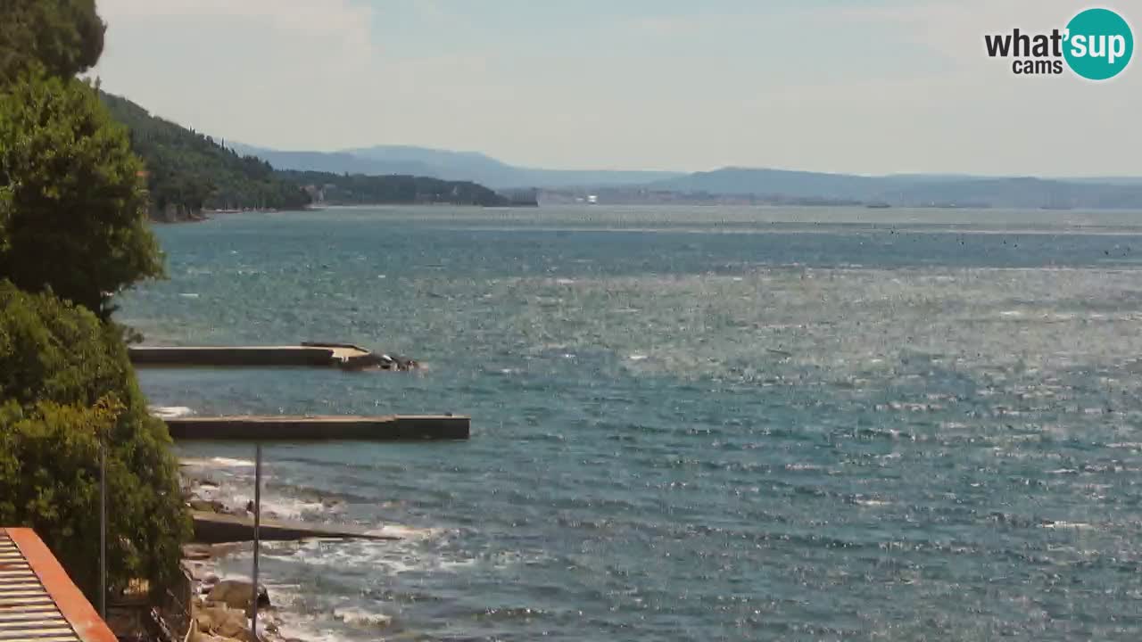Webcam du restaurant BellaRiva | Côte de Trieste – vue sur le château de Miramare