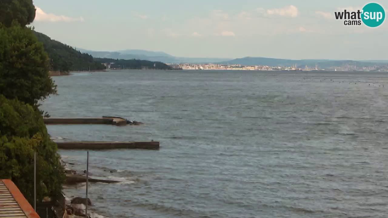 Webcam du restaurant BellaRiva | Côte de Trieste – vue sur le château de Miramare
