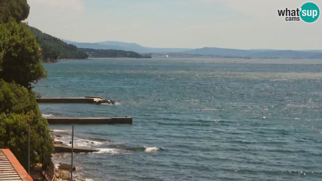 Web kamera restorana BellaRiva | Obala Trsta – pogled na dvorac Miramare