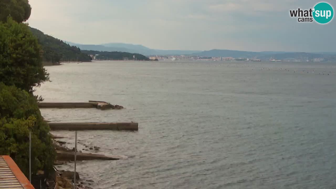 Gostilna BellaRiva kamera | Trst obala – pogled na Miramarski grad