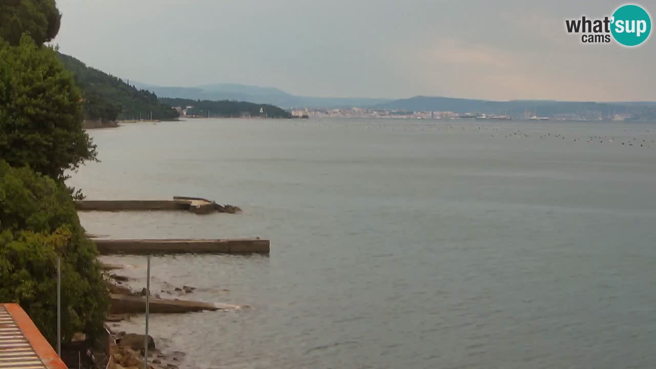 Web kamera restorana BellaRiva | Obala Trsta – pogled na dvorac Miramare