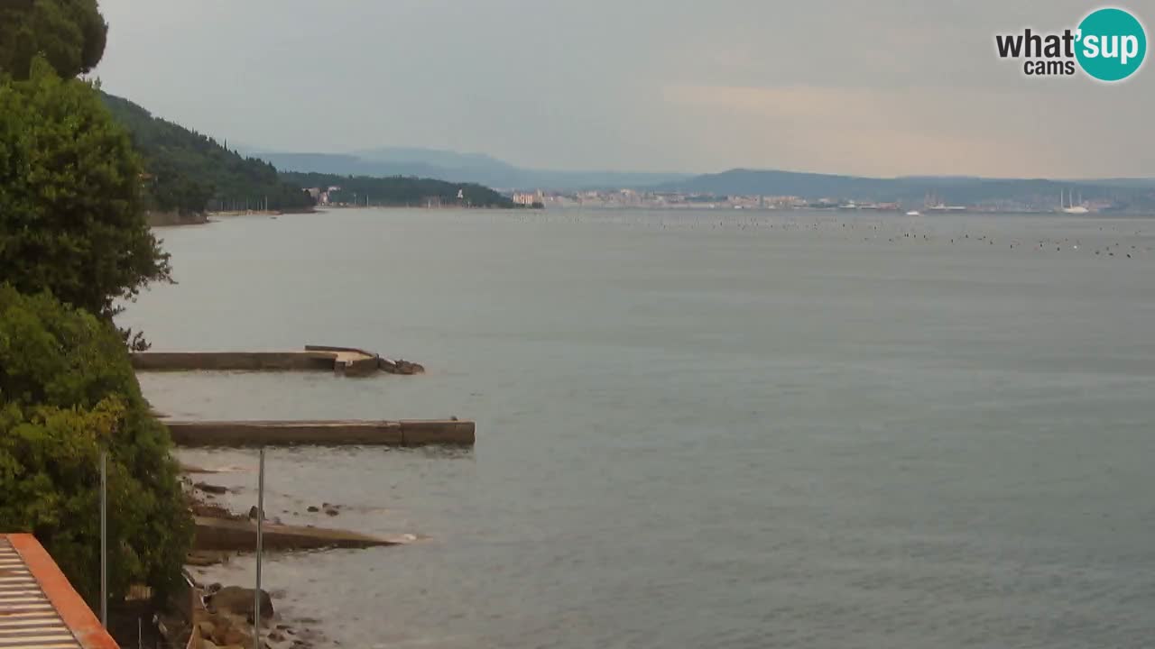 Webcam del restaurante BellaRiva | Costa de Trieste – vista hacia el castillo de Miramare