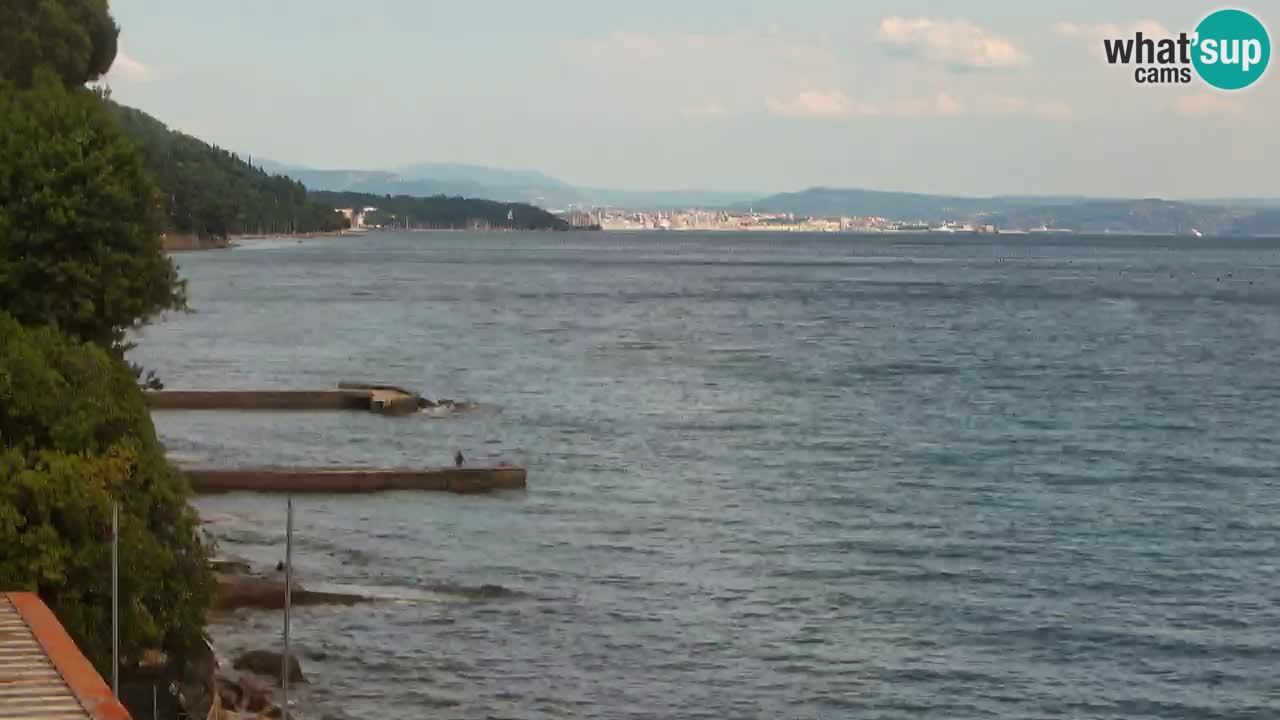 Webcam BellaRiva restaurant | Trieste coast – view to Miramare castle