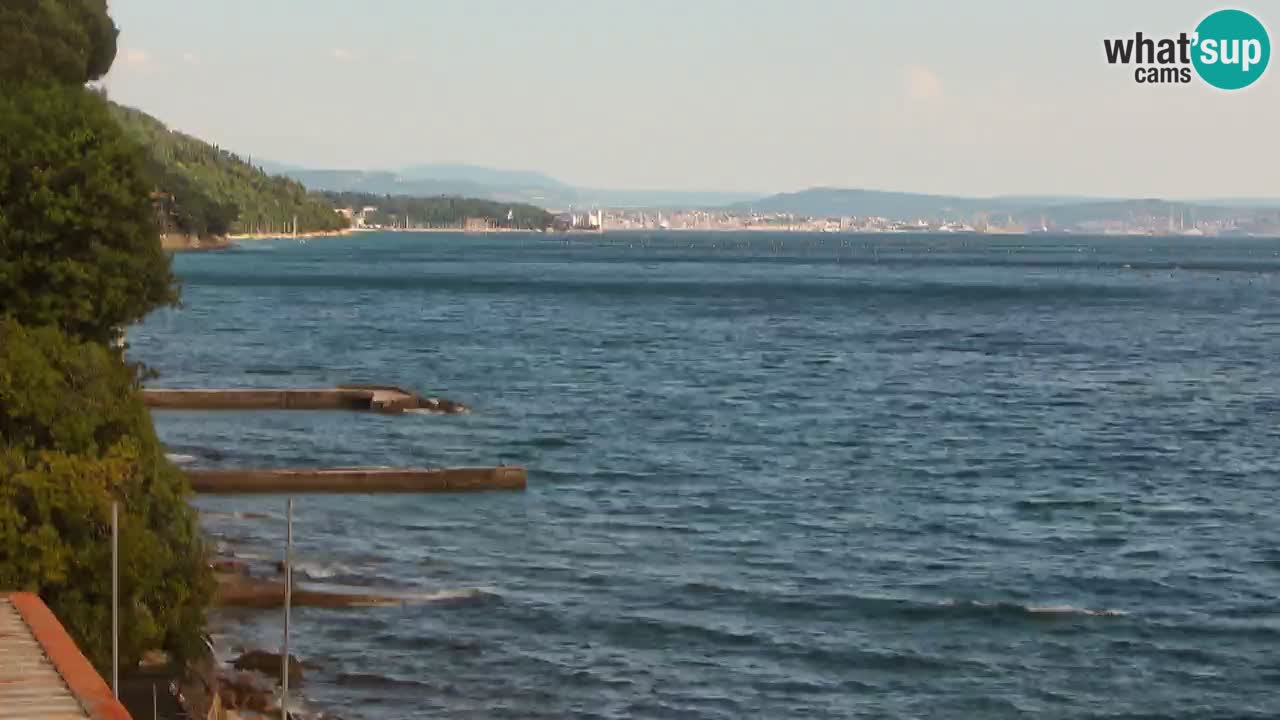 Webcam du restaurant BellaRiva | Côte de Trieste – vue sur le château de Miramare