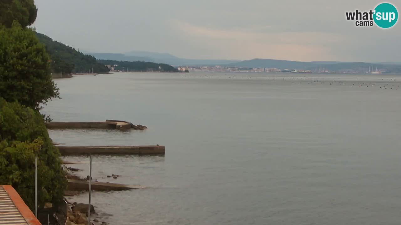 Gostilna BellaRiva kamera | Trst obala – pogled na Miramarski grad