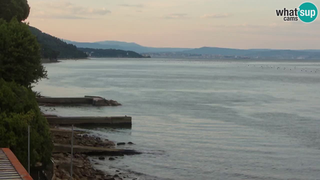 Webcam BellaRiva restaurant | Trieste coast – view to Miramare castle