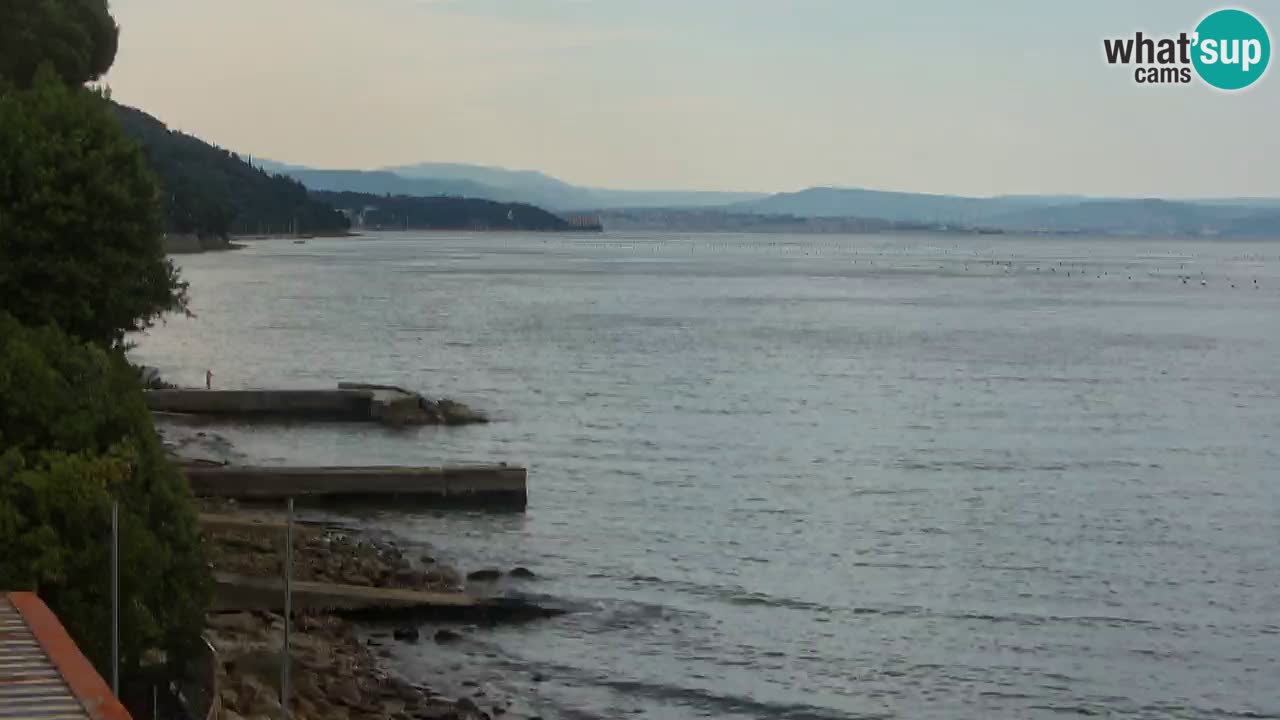 Webcam BellaRiva restaurant | Trieste coast – view to Miramare castle