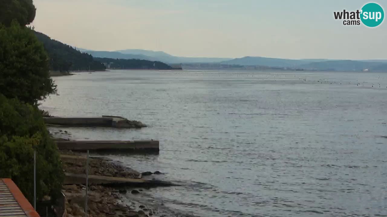 Webcam BellaRiva restaurant | Trieste coast – view to Miramare castle