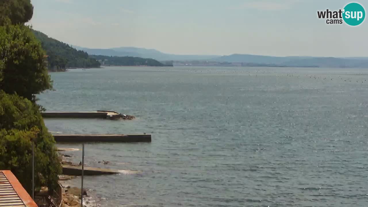 Web kamera restorana BellaRiva | Obala Trsta – pogled na dvorac Miramare