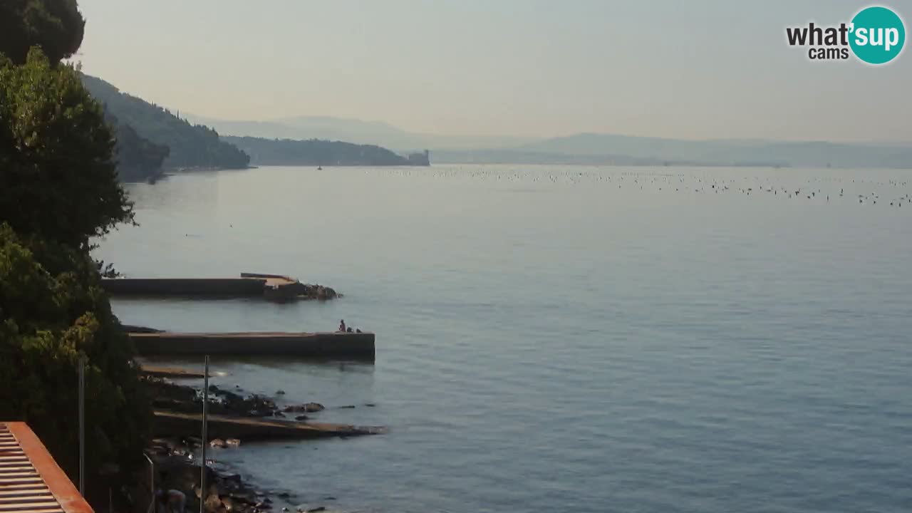 Trattoria BellaRiva webcam | Trieste costiera e castello di Miramare