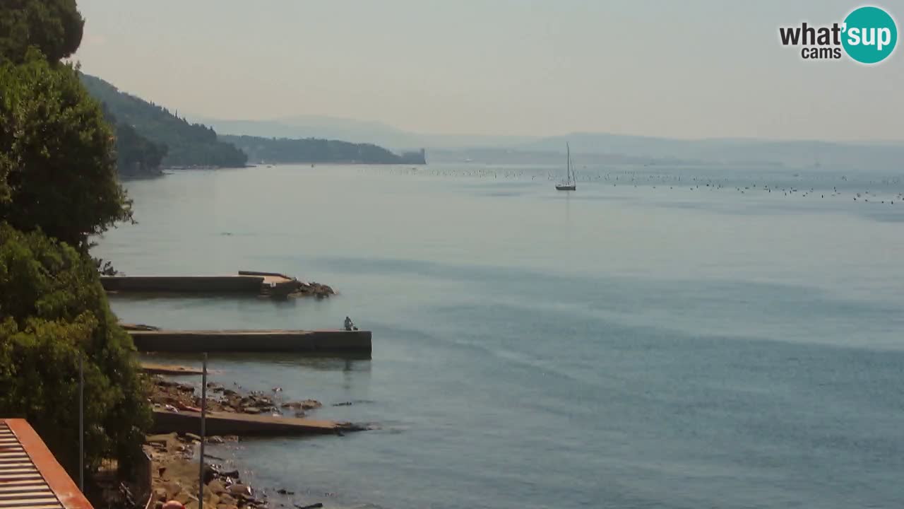 Webcam BellaRiva restaurant | Trieste coast – view to Miramare castle