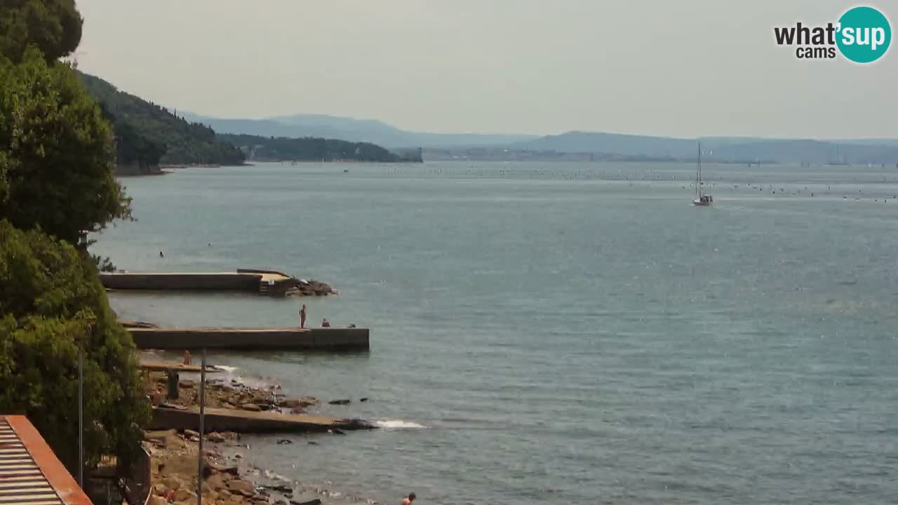 Webcam BellaRiva restaurant | Trieste coast – view to Miramare castle