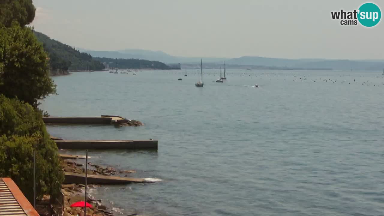 Webcam BellaRiva restaurant | Trieste coast – view to Miramare castle