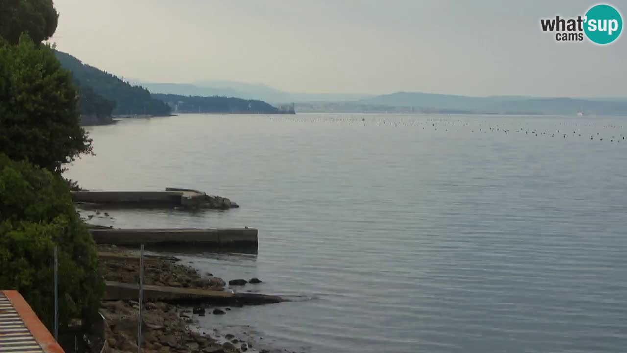 Webcam Restaurant BellaRiva | Küste von Triest – Blick auf das Schloss Miramare