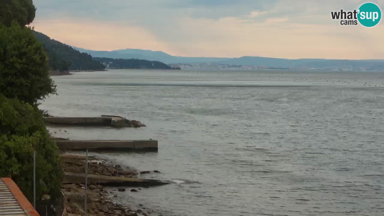 Webcam du restaurant BellaRiva | Côte de Trieste – vue sur le château de Miramare