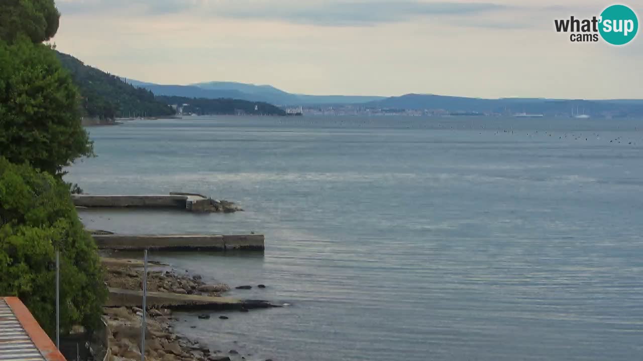 Webcam BellaRiva restaurant | Trieste coast – view to Miramare castle