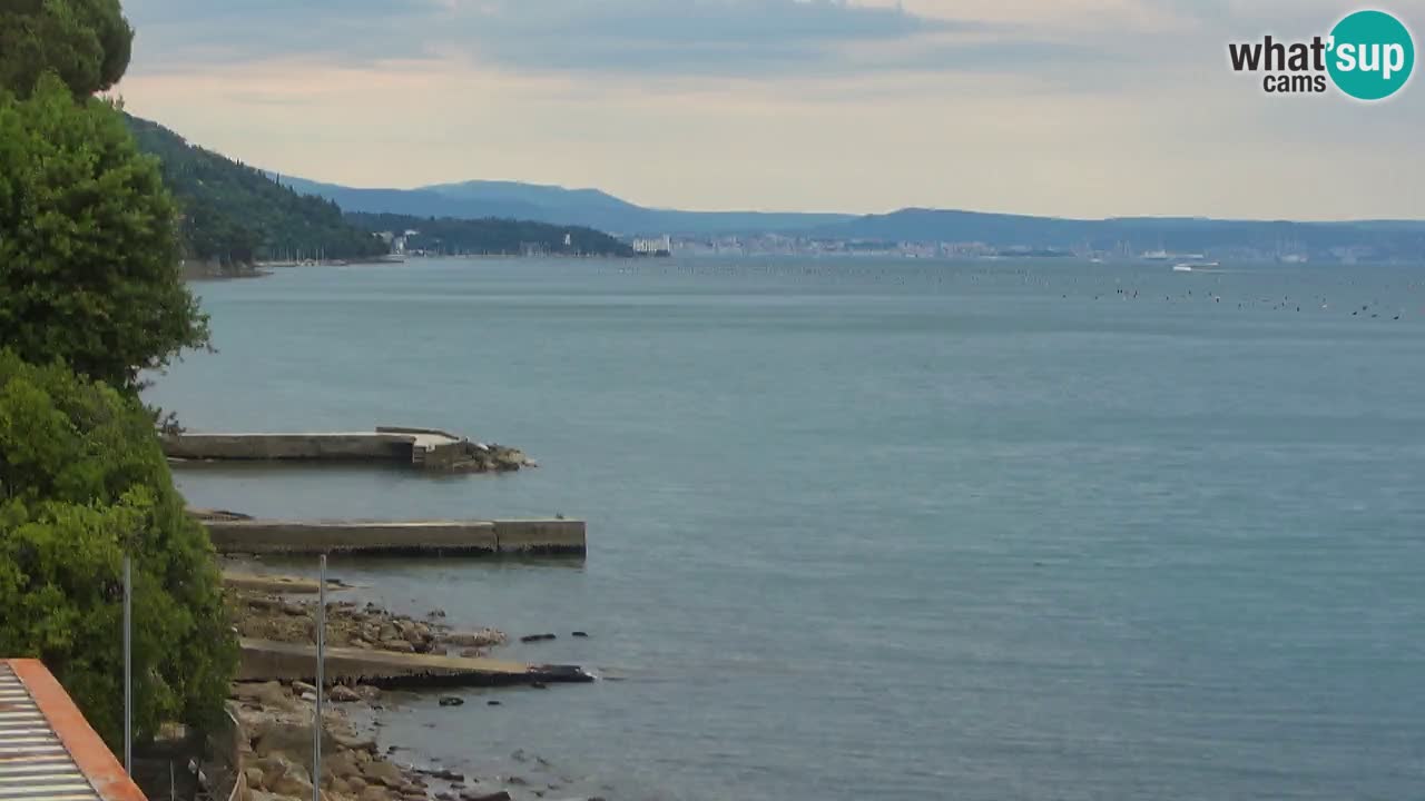 Webcam BellaRiva restaurant | Trieste coast – view to Miramare castle