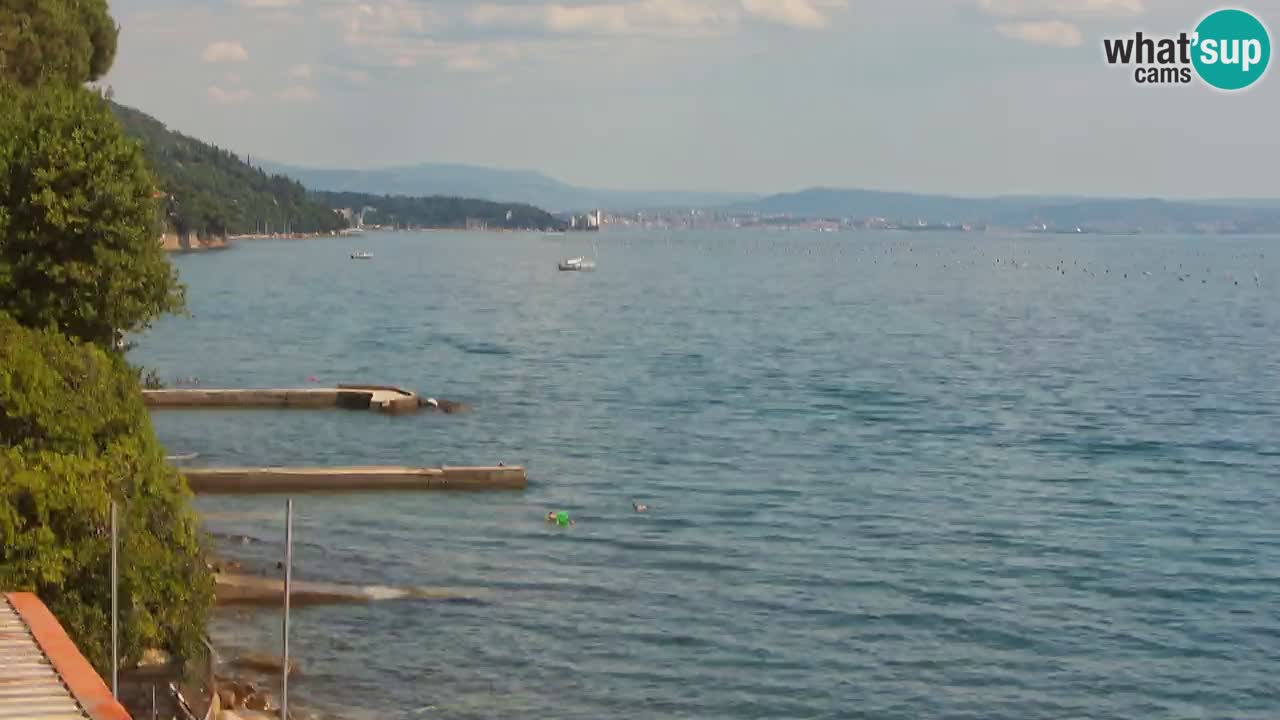 Webcam du restaurant BellaRiva | Côte de Trieste – vue sur le château de Miramare