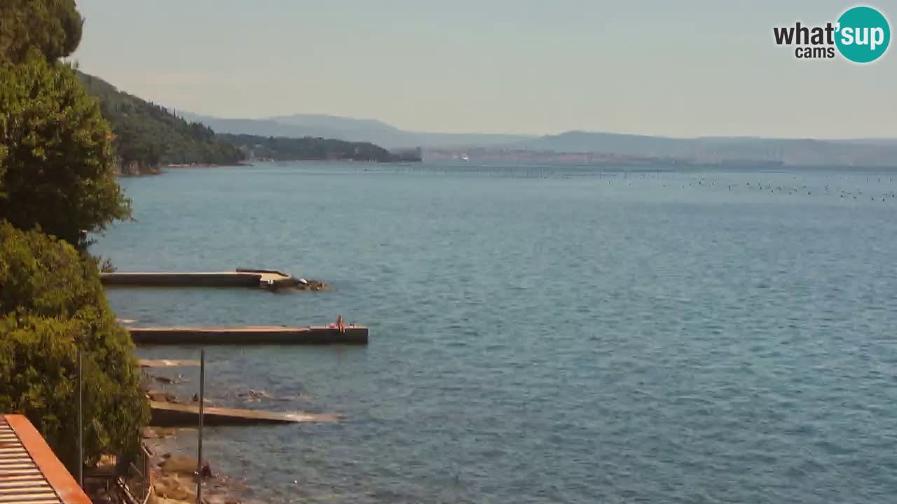 Webcam BellaRiva restaurant | Trieste coast – view to Miramare castle